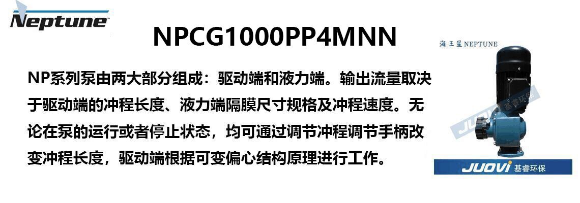 NPCG1000PP4MNN 